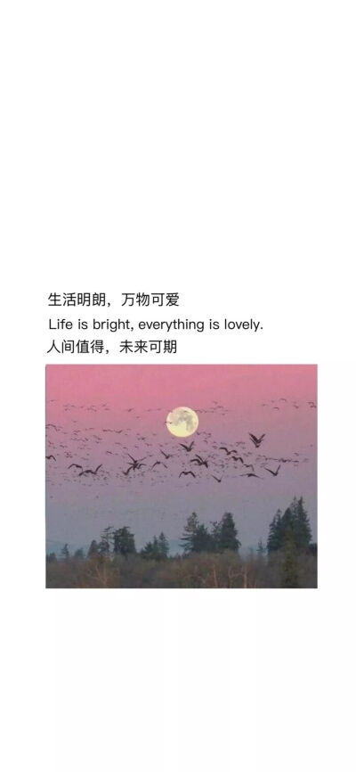 生活可爱，万物可期