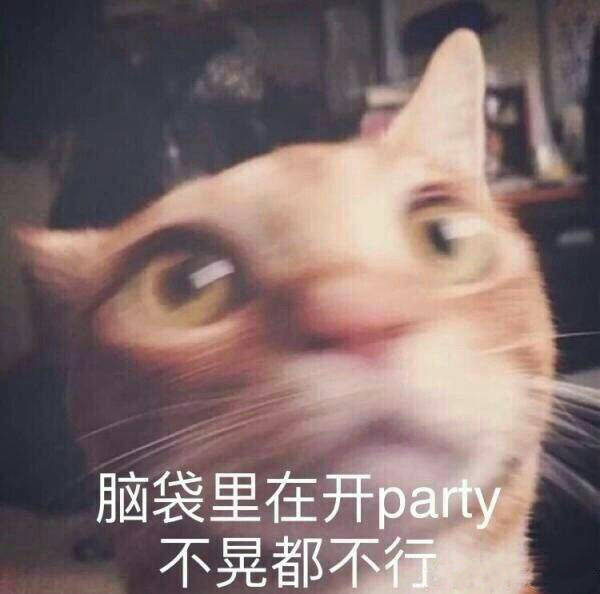 猫咪表情包