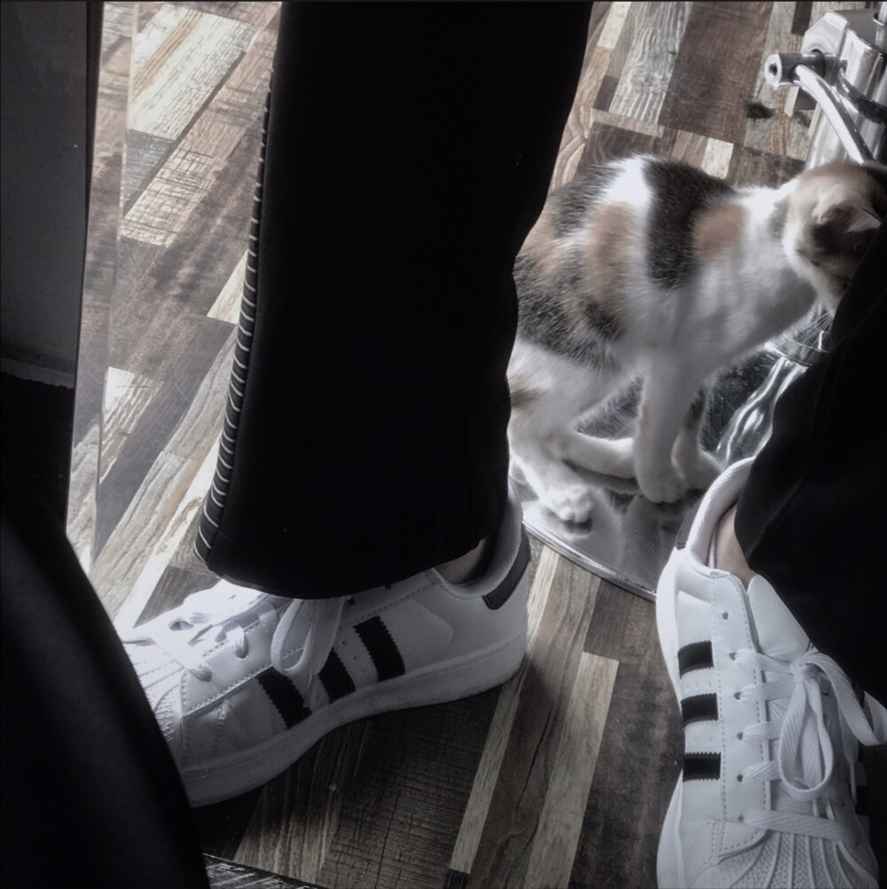 二传标明dt怯詞