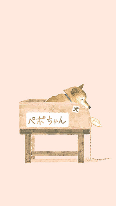 柴犬 壁纸