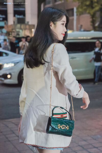 IU 李知恩 德鲁纳酒店 cr：bluewing