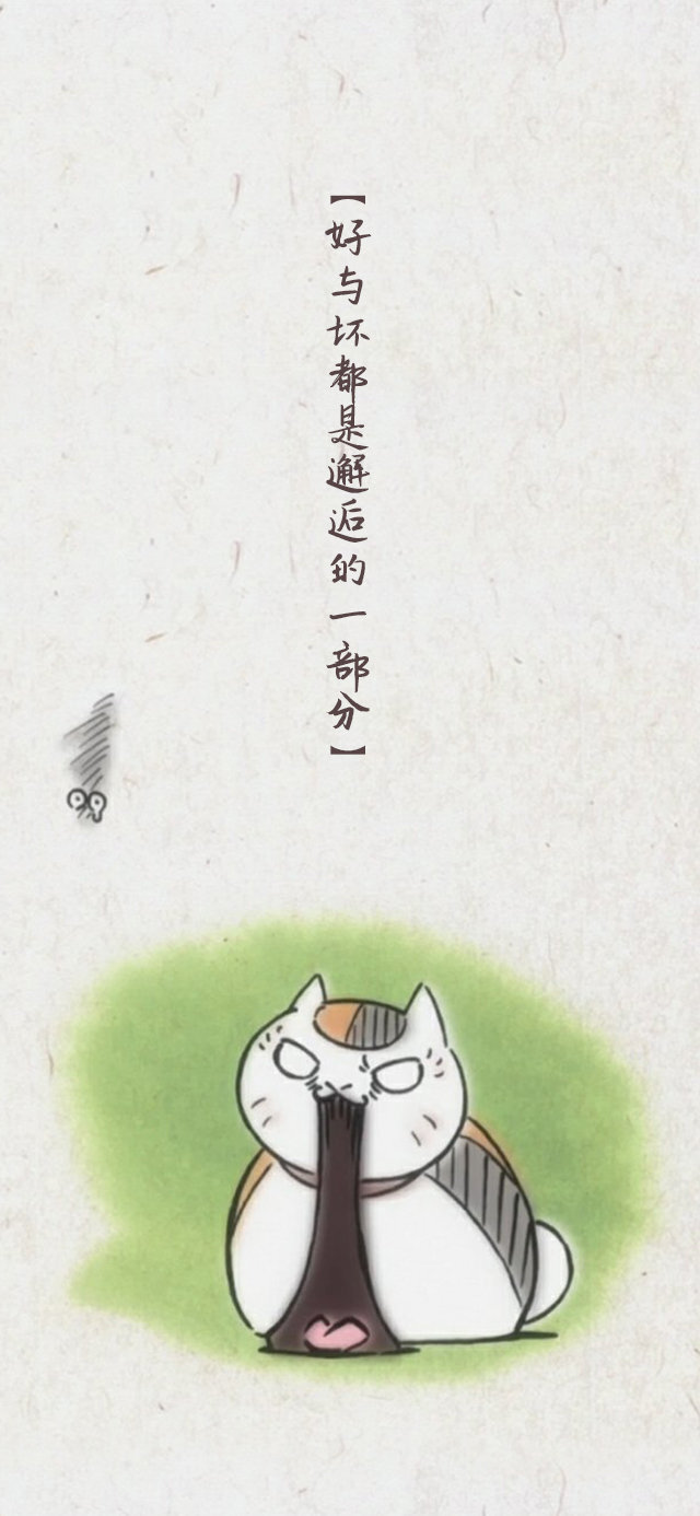 可爱的猫咪老师