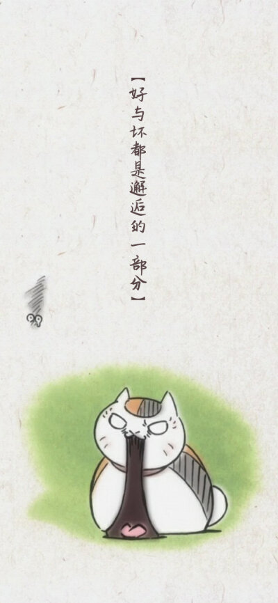 可爱的猫咪老师