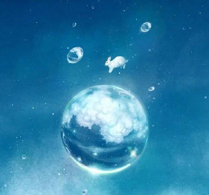 兔