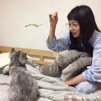 猫系