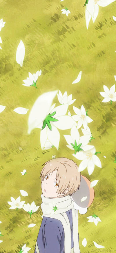 壁纸