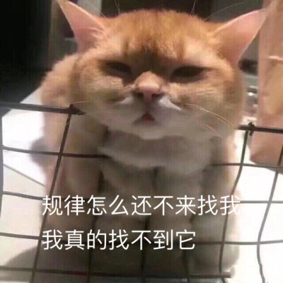 冲呀