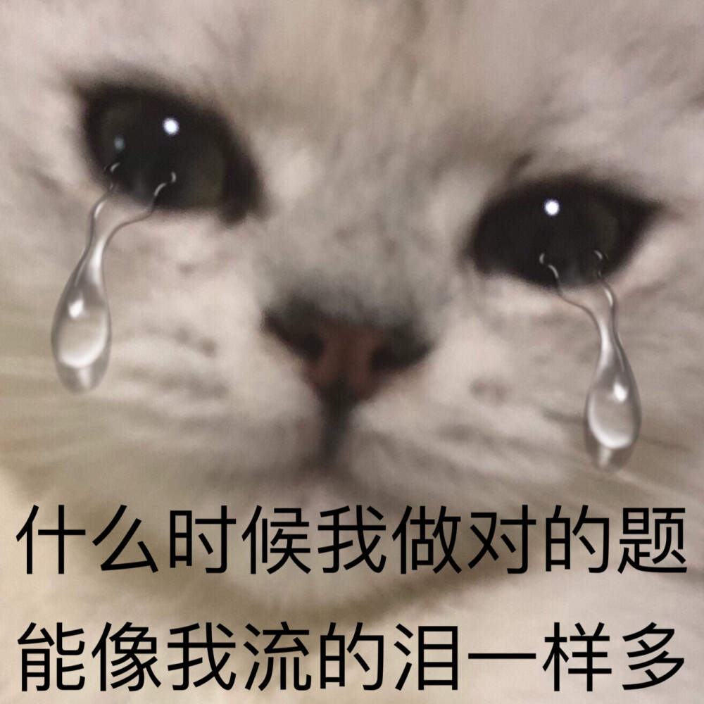 冲呀