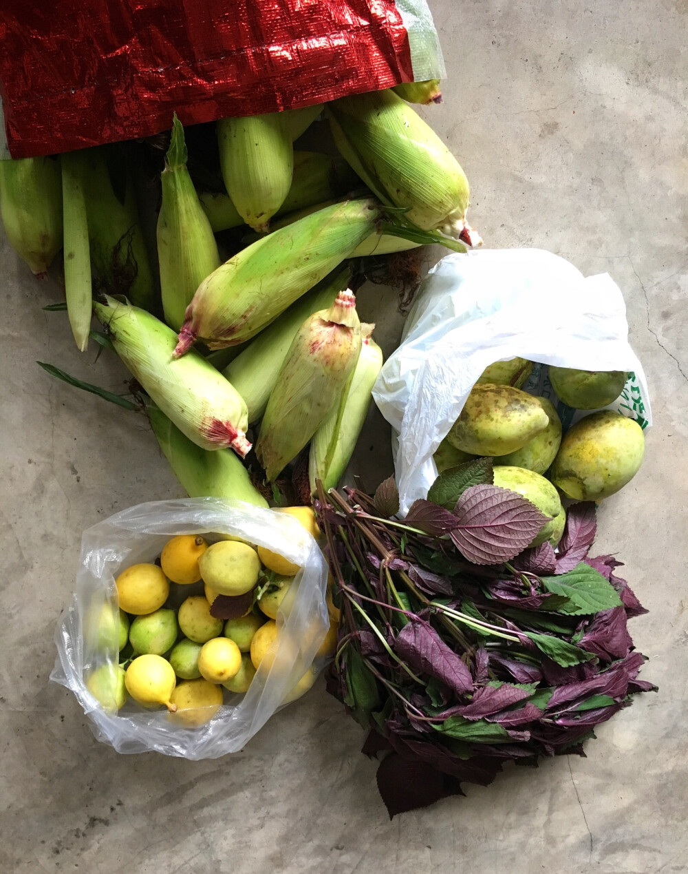 【一竹·美食】
小山，
谢谢你带给我这么多美食，
紫色的玉米，
香、软、糯、超Q弹，
紫色的紫苏+木瓜+黑糖+小米辣，
吃过的都知道，
柠檬当然是拌盐巴辣子啦，
还有好看好吃的黄金粑粑
……