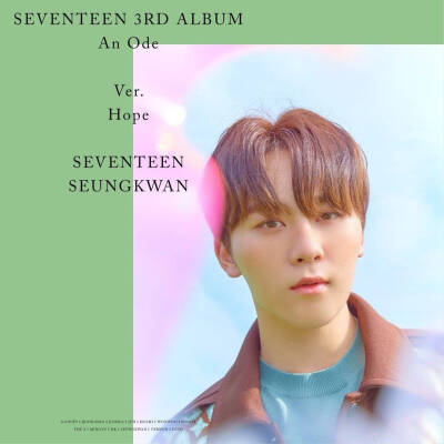 SEVENTEEN 3RD ALBUM 'An Ode' OFFICIAL PHOTO Hope Ver.
侵权删
