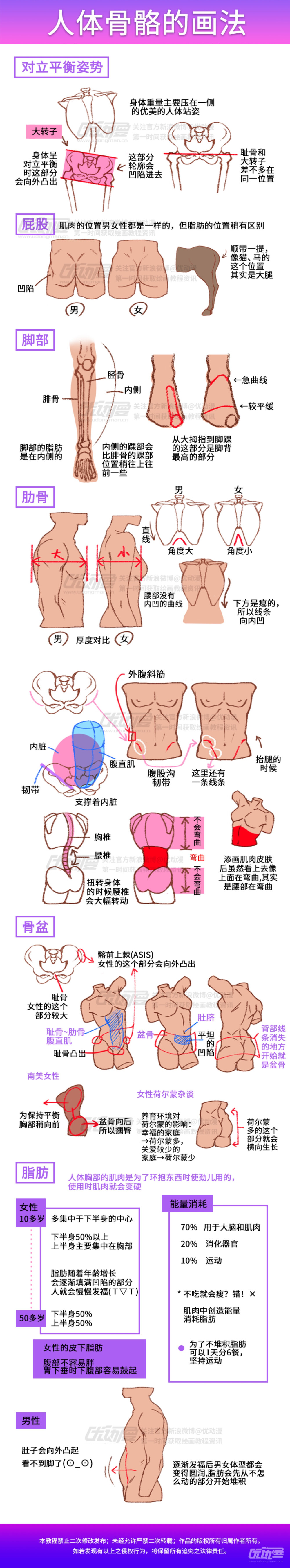 人体结构