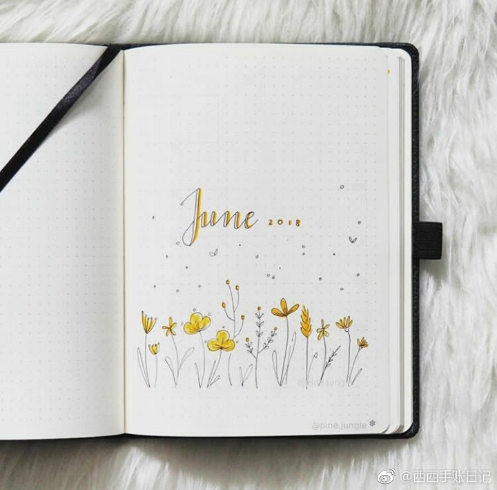 bullet journal