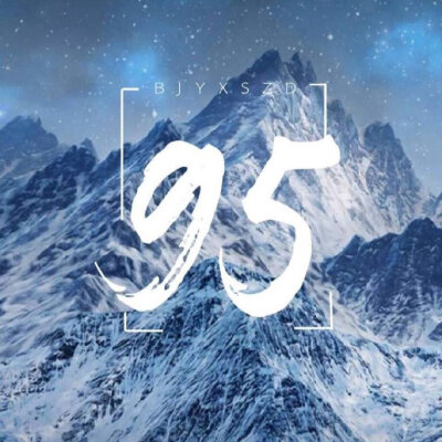 95天选，并肩于雪山之巅♡﻿.