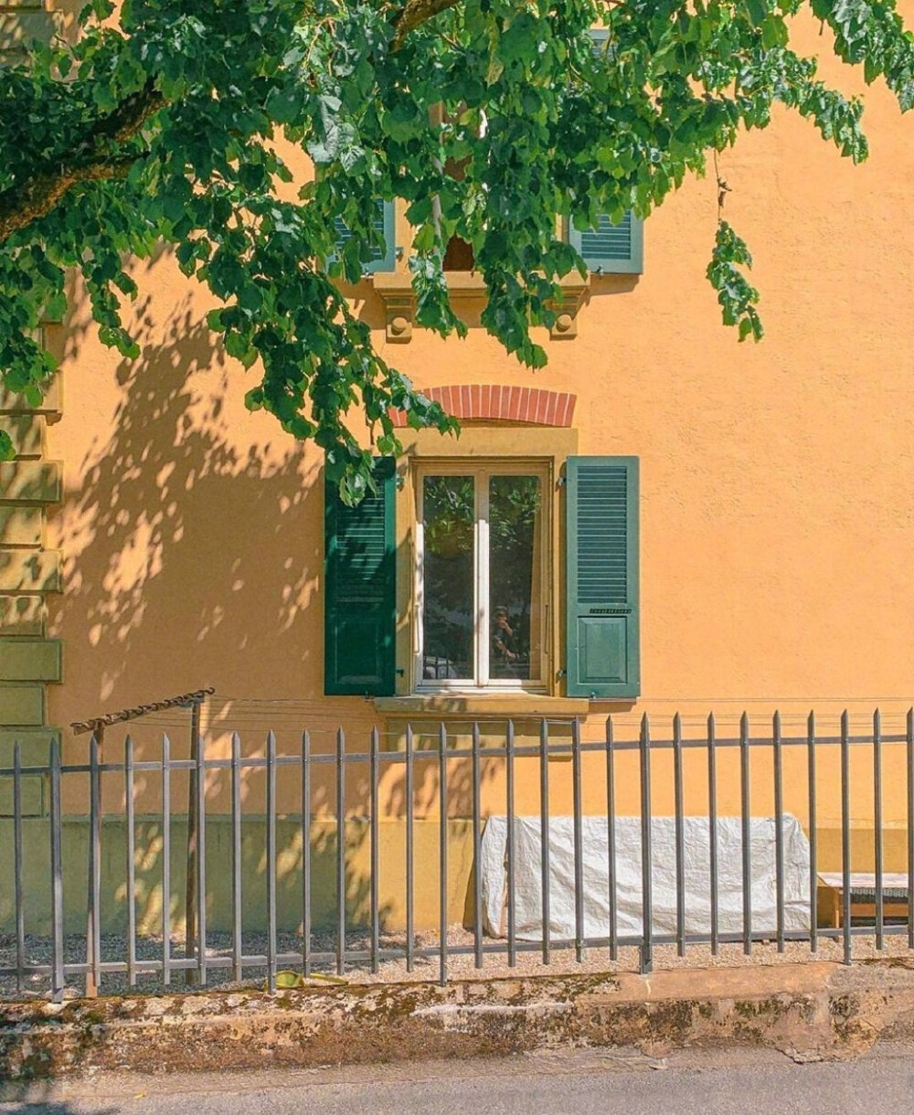 “斯人若彩虹，遇上芳知有”