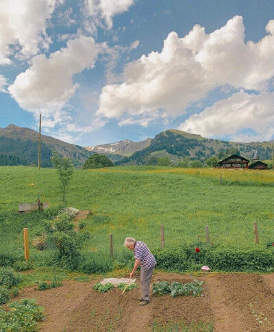 “斯人若彩虹，遇上芳知有”