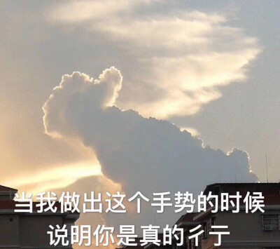 我太难了