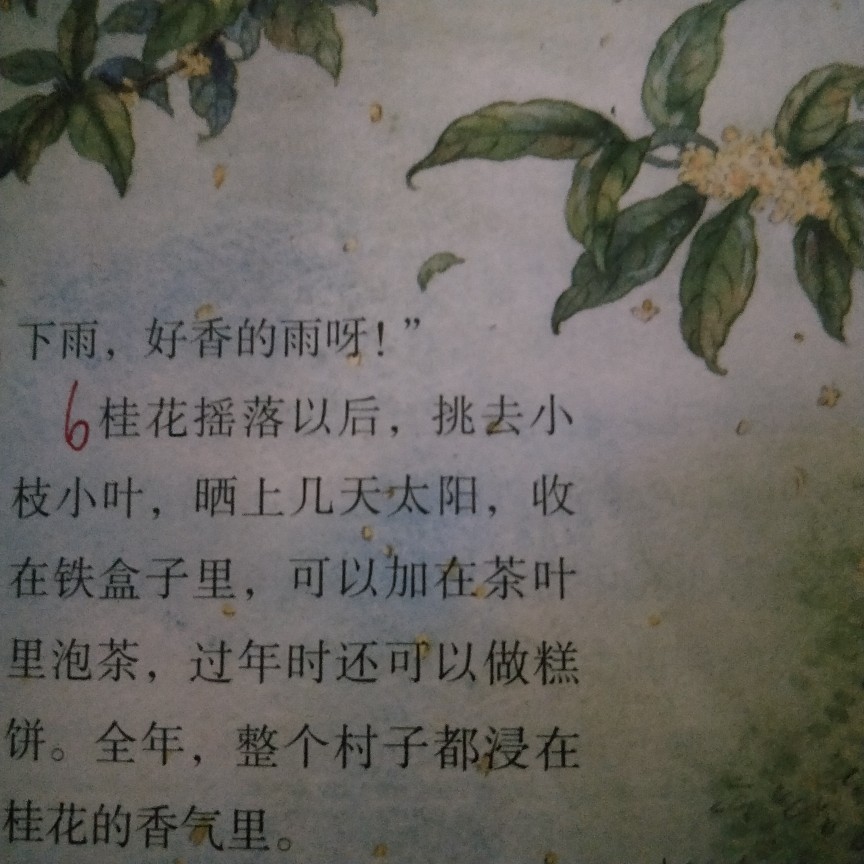 课文图片