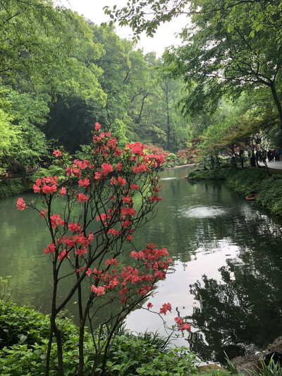 湖南岳麓山～