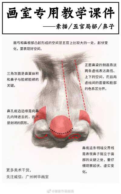 脸部器官局部