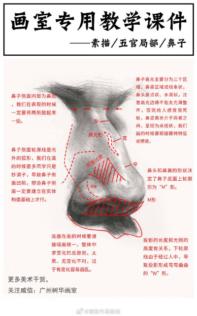 脸部器官局部