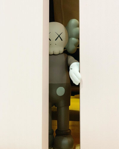 我爱kaws~