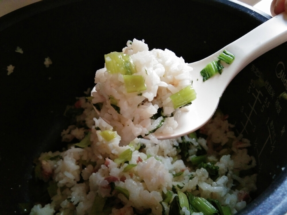 咸肉肉肉菜饭