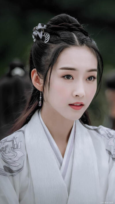 陈情令 师姐