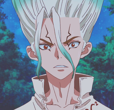 《Dr.Stone 石纪元》
第十集