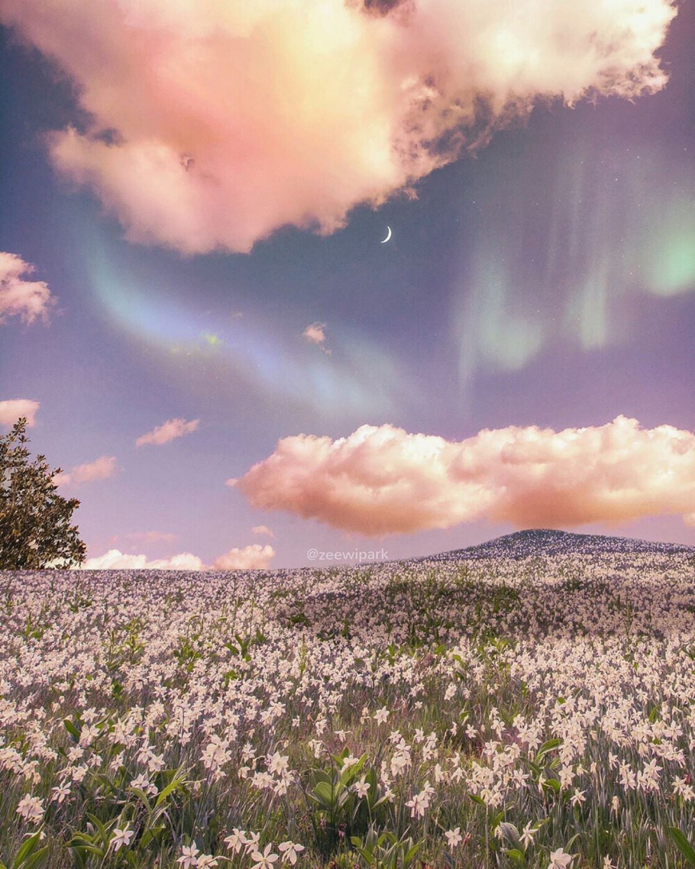 Make a wish. ​​​