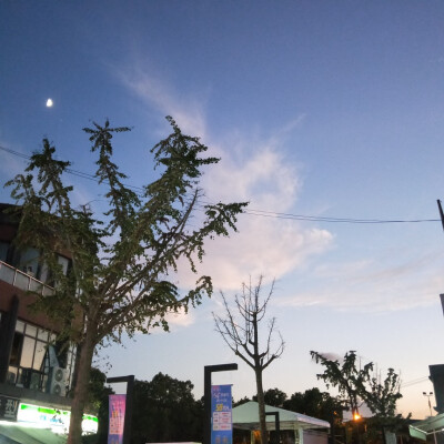 Miracle sky~