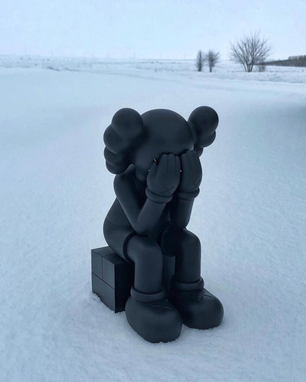 Kaws
