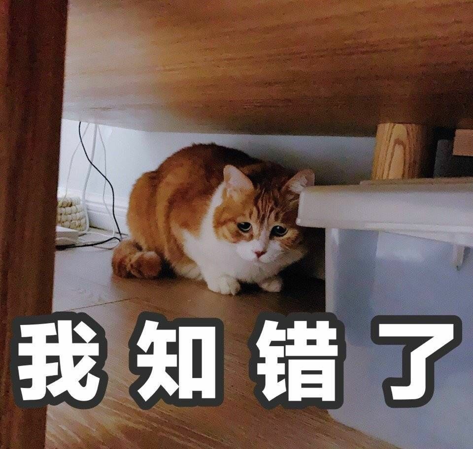 表情包