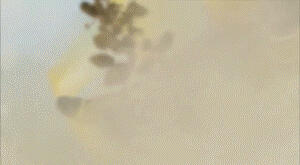 德凯奥特曼&times;假面骑士01