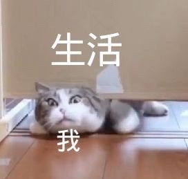 我太难了