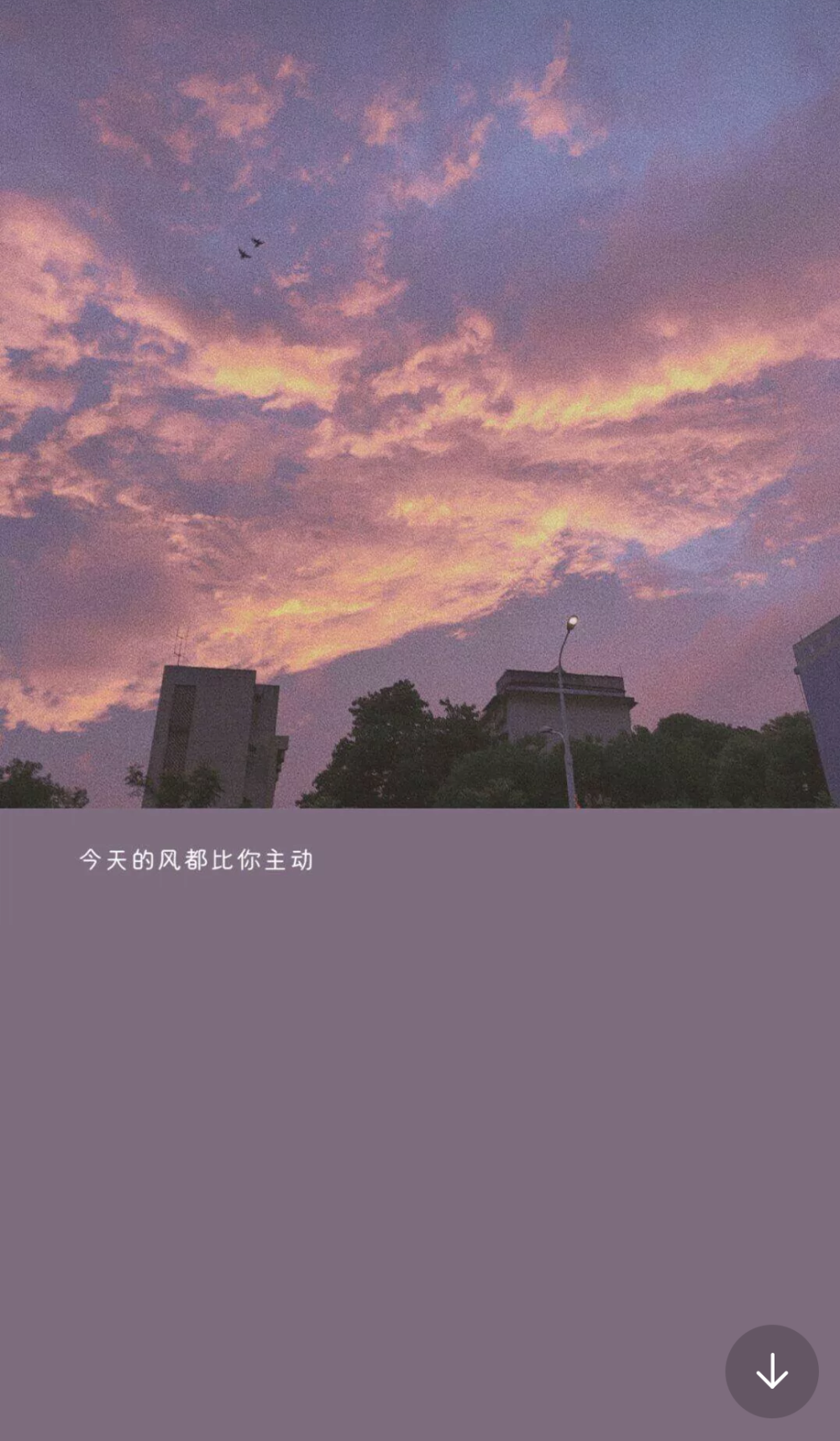 壁纸