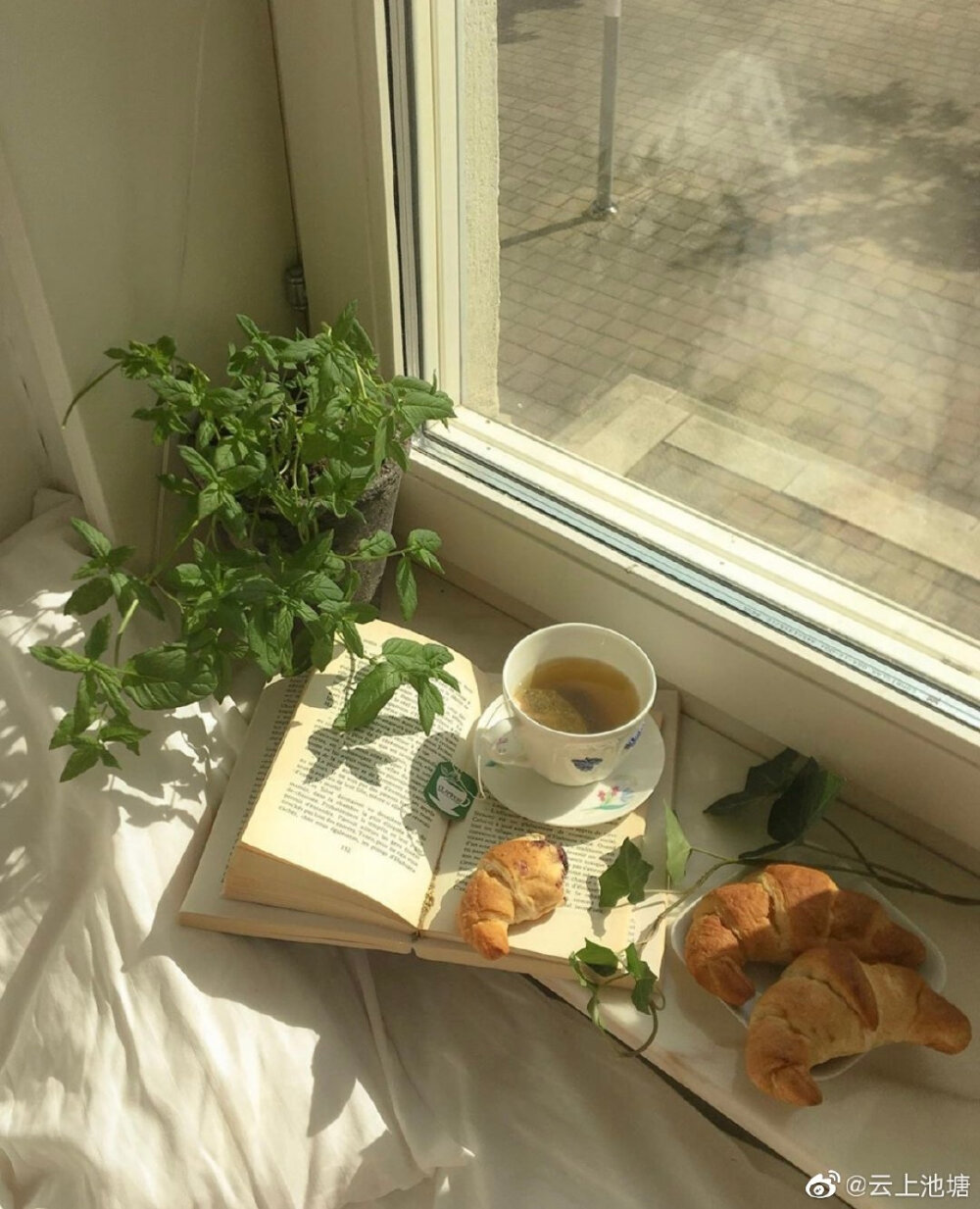 少 女 的 午 后 ᶫᵒᵛᵉ.