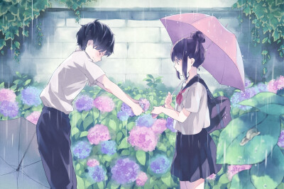 动漫人物/紫阳花