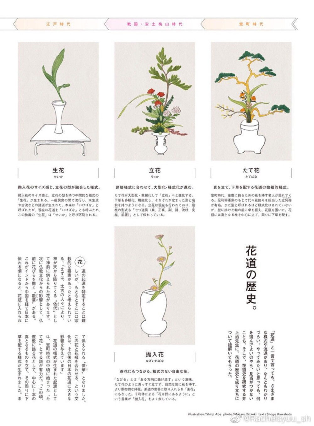 花与花束