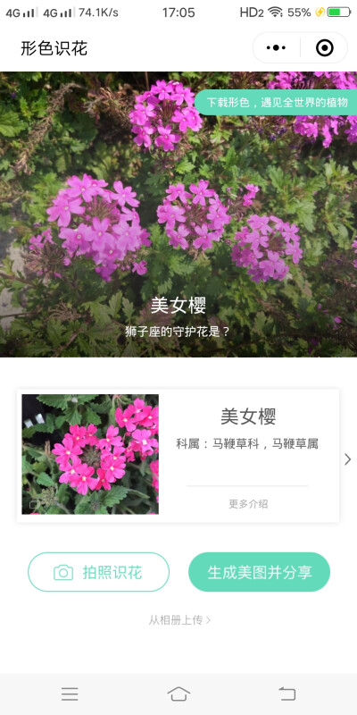 美女樱(汾河公园 晋阳桥——通达桥)