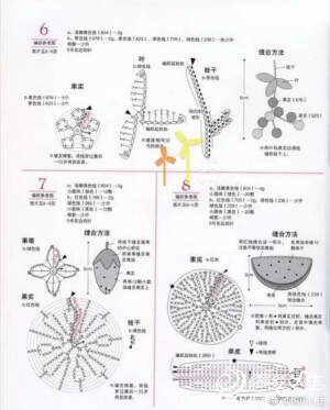 果蔬6-3