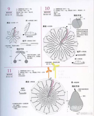 果蔬6-4