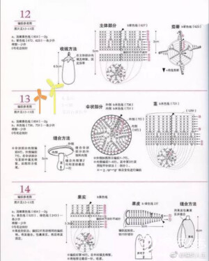 果蔬6-5