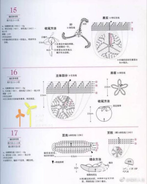 果蔬6-6