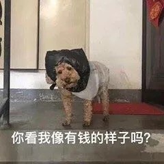 我太难了