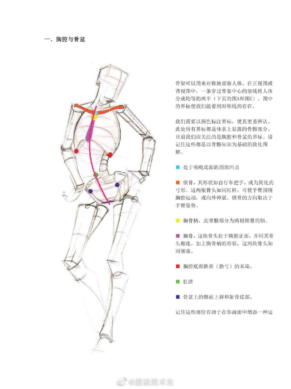 人体结构速写。