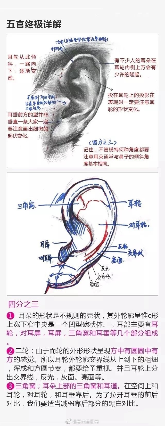 人体细节速写。