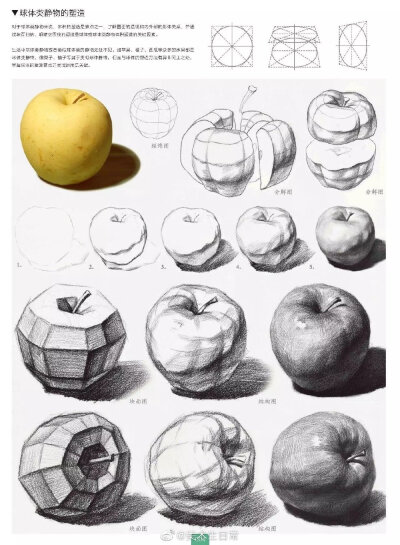 结构素描与黑白素描。