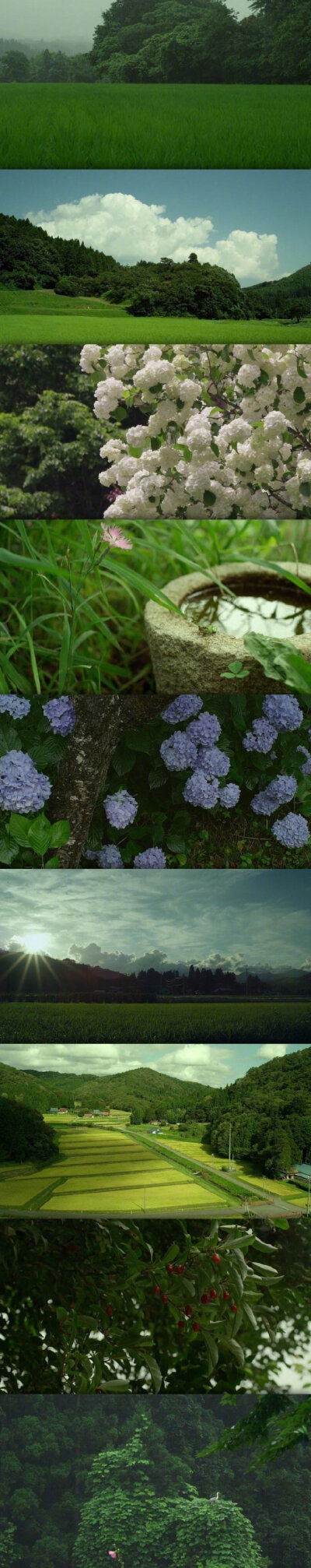 小森林里的春夏秋冬