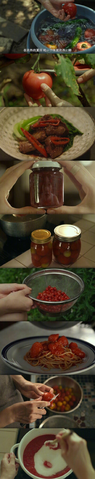 小森林里的春夏秋冬