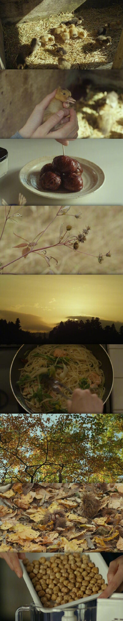 小森林里的春夏秋冬